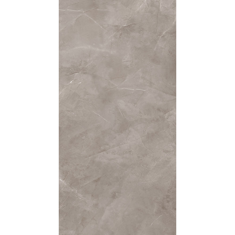 Harmonic grey 239,8x119,8 POŁYSK REKT. GAT.1 (P.43859)