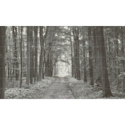 Obraz ścienny 42-elementowy...