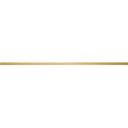 Listwa ścienna Steel gold 2 119,8x2,3 POŁYSK REKT. (P.44367)