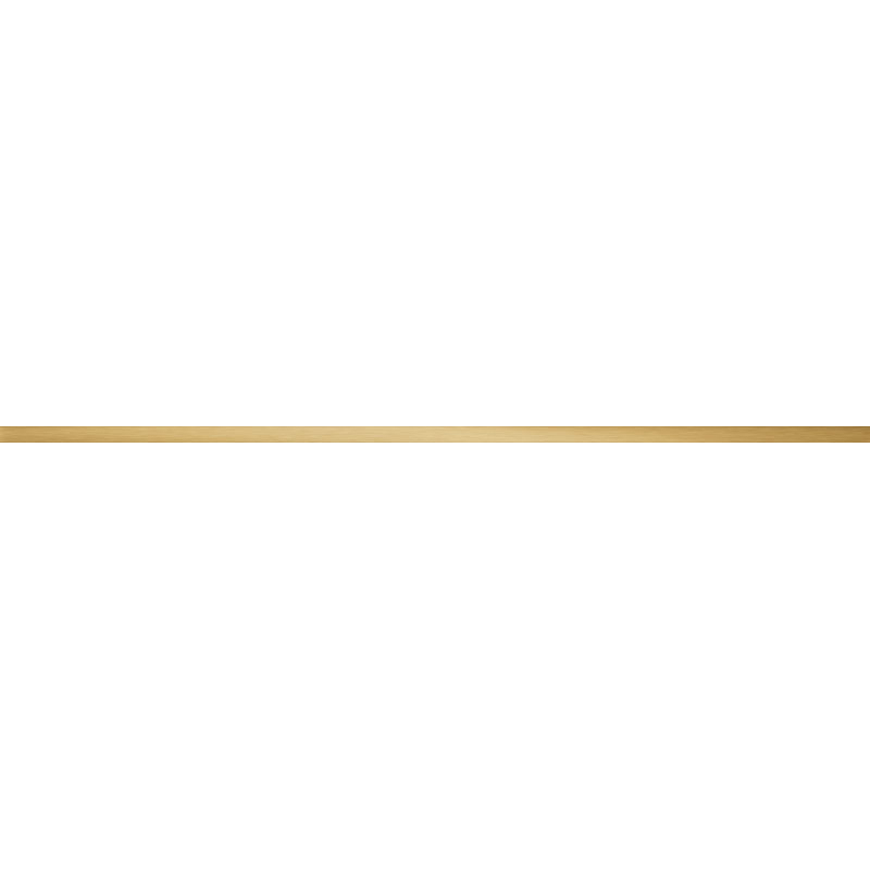 Listwa ścienna Steel gold 2 119,8x2,3 POŁYSK REKT. (P.44367)